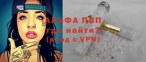 шишки Абаза