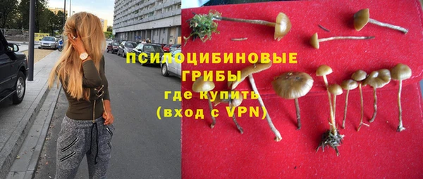 первитин Алексеевка