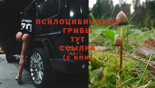 ALPHA-PVP Абинск