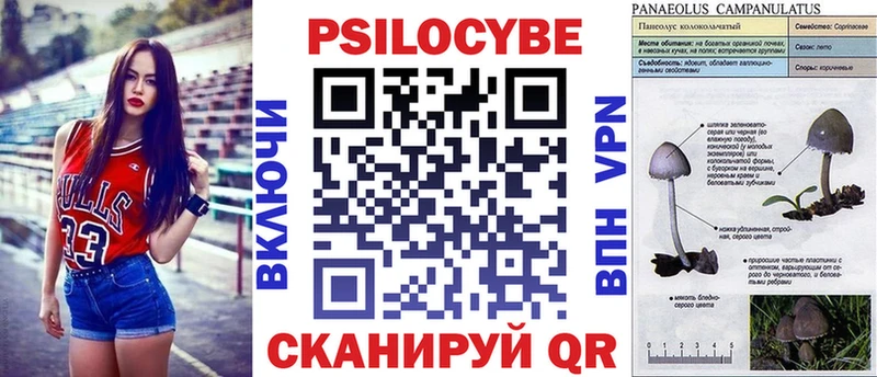 Псилоцибиновые грибы MAGIC MUSHROOMS  Талдом 
